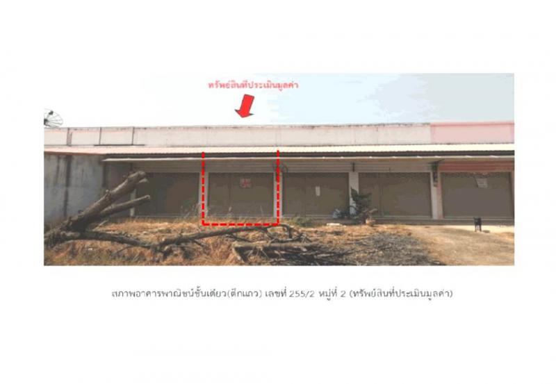 ท่าตูม ท่าตูม สุรินทร์