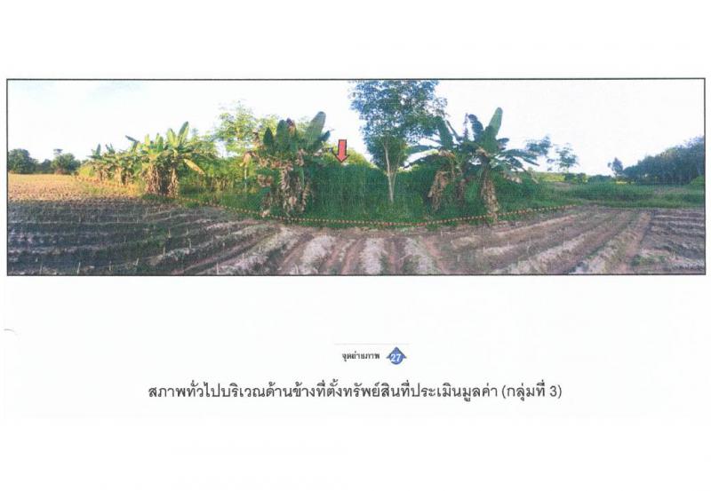 บักได พนมดงรัก สุรินทร์ - พนมดงรัก สุรินทร์