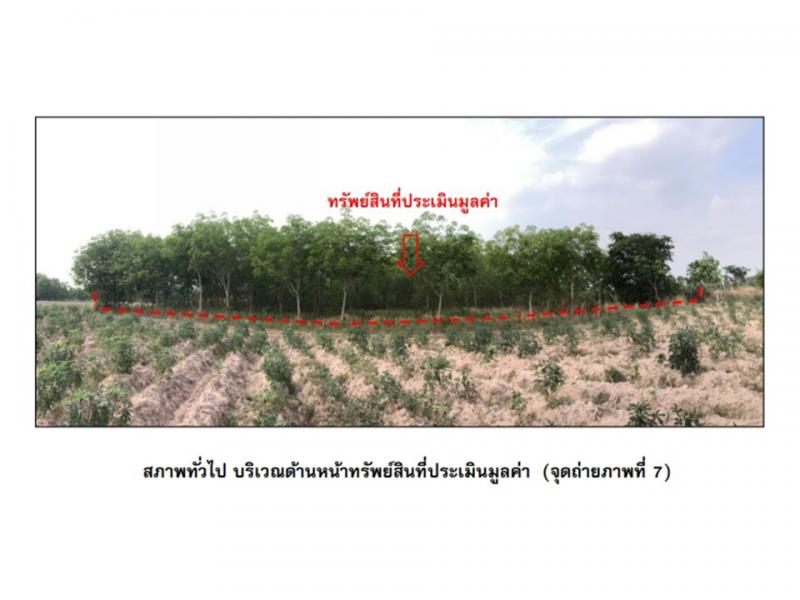 บักได พนมดงรัก สุรินทร์ - พนมดงรัก สุรินทร์