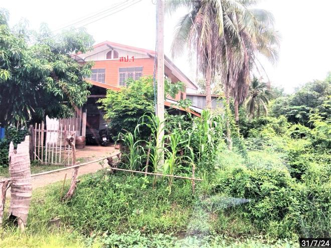 แตล ศีขรภูมิ สุรินทร์