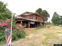ขายบ้านเดี่ยว